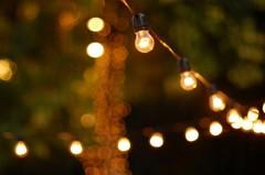 Edison Festoon Tent Lights (Per Foot) Edison Festoon Tent Lights (Per Foot)